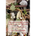 Programming your Life with Ayurveda: A practical manual for a holistic way of living for well being, health, and preventing ailments