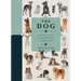 Paperscapes: The Dog: A Book That Transforms Into a Work of Art