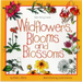 Wildflowers, Blooms & Blossoms