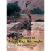 A Treasury of Edgar Rice Burroughs