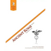 Ancient Rome 2nd Edition Teacher's Guide: Questions for the Thinker Study Guide Series