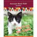 Caring for Cats