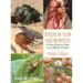 Spiders in Your Neighborhood: A Field Guide to Your Local Spider Friends, Revised and Expanded