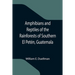 Amphibians and Reptiles of the Rainforests of Southern El Petén, Guatemala