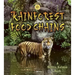 Rainforest Food Chains