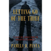 Letting Go of the Thief: "A Ninety Day Journey Inside the Thoughts of an Alcoholic."