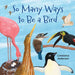 So Many Ways to Be a Bird