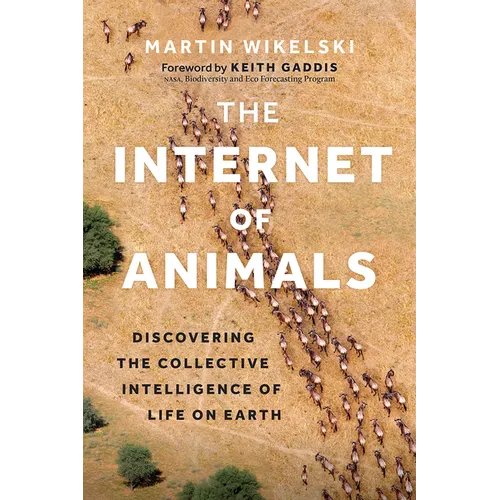 The Internet of Animals: Discovering the Collective Intelligence of Life on Earth