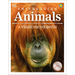 Animals: A Visual Encyclopedia of the Animal Kingdom