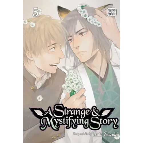 A Strange & Mystifying Story, Vol. 5