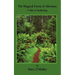 The Magical Forest of Aliveness: A Tale of Awakening