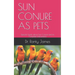 Sun Conure as Pets: Special Guide about Sun Conure and its Complete Interactions