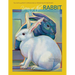 Year of the Rabbit: The EAST Meets WEST Astrological Personality Portrait
