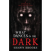 What Dances in the Dark: a short collection of horror stories