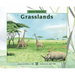 About Habitats: Grasslands