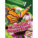 Monarch Butterflies