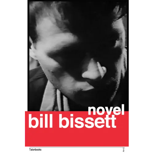 Novel