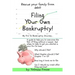 Filing Your Own Bankruptcy: My Pro Se Bankruptcy Journey...