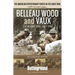 Belleau Wood and Vaux: 1 to 26 June & July 1918
