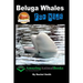 Beluga Whales For Kids