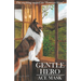 Gentle Hero