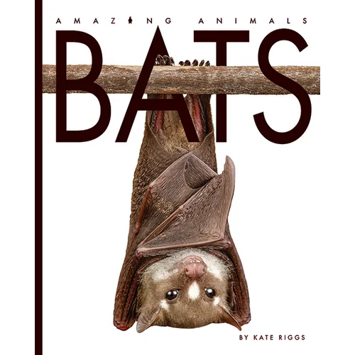 Bats