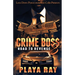 Crime Boss 3