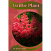 Astilbe Plant: Plant overview and guide