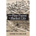 From Pine Forest to Market City: The History of Clare Michigan's Downtown