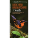 Backyard Birdwatching in Seattle: An Introduction to Birding and Common Backyard Birds of Western Washington