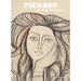 Picasso: Drawing to Infinity