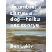 An umbrella chases a dog-haiku and senryu