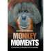 Monkey Moments: Encounters in Rainforest Escapades