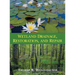 Wetland Drainage, Restoration, and Repair