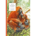 Atlas of Endangered Animals