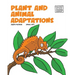 Plant and Animal Adaptions