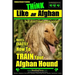 Afghan Hound Training THiNK like an Afghan but don't eat your poop!: Here's EXACTLY How To TRAIN Your Afghan Hound