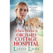 A New Doctor at Orchard Cottage Hospital