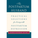 The Postpartum Husband: Practical Solutions for Living with Postpartum Depression