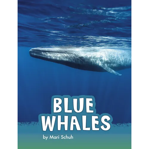 Blue Whales