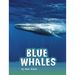 Blue Whales