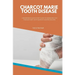 Charcot Marie Tooth Disease: A Beginner's Quick Start Guide to Managing CMT Through Diet, With Sample Curated Recipes