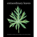 Extraordinary Leaves