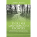 There Are Many Roads to Recovery: The Story of Over 100 Addiction Recovery Programs That Work --- and a Few That Didn't
