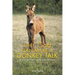 Only God Can Make a Donkey Talk