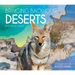 Bringing Back Our Deserts