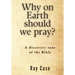 Why on Earth Should We Pray?