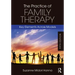 The Practice of Family Therapy: Key Elements Across Models