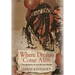 Where Dreams Come Alive: The Alchemy of the African Healer