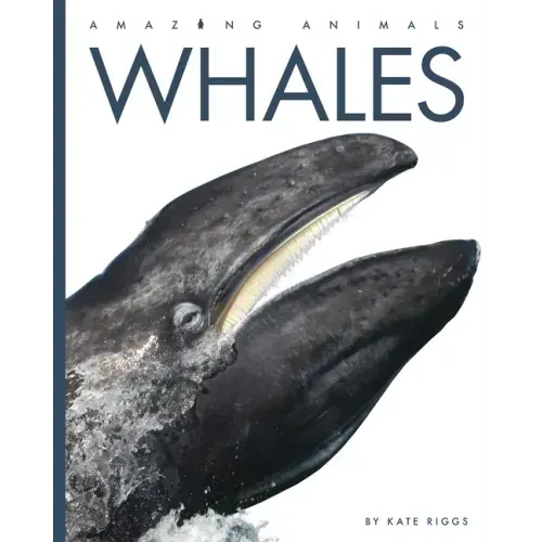 Whales